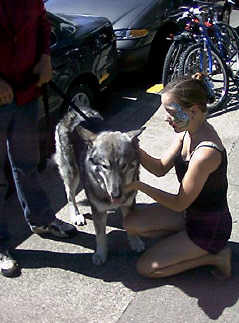 girl-wolf
